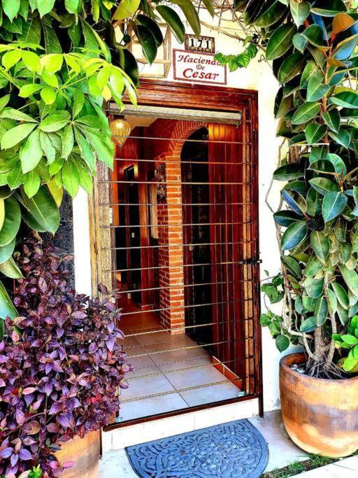 Villa Hacienda de Cesar Puerto Vallarta Exterior foto